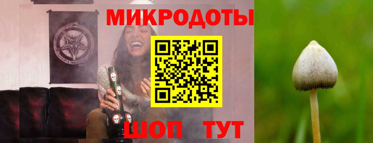 Галлюциногенные грибы GOLDEN TEACHER Златоуст